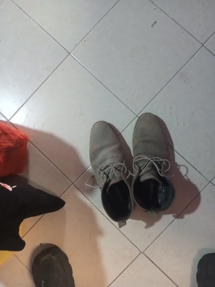 Timberlands